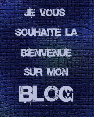 bienvenu sur mon blog